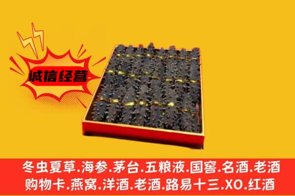 绿园区回收海参